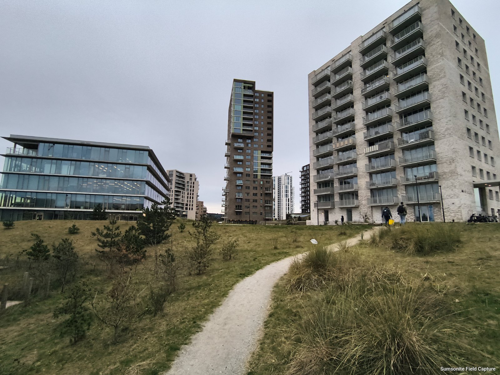 duin_almere_straat2.jpg