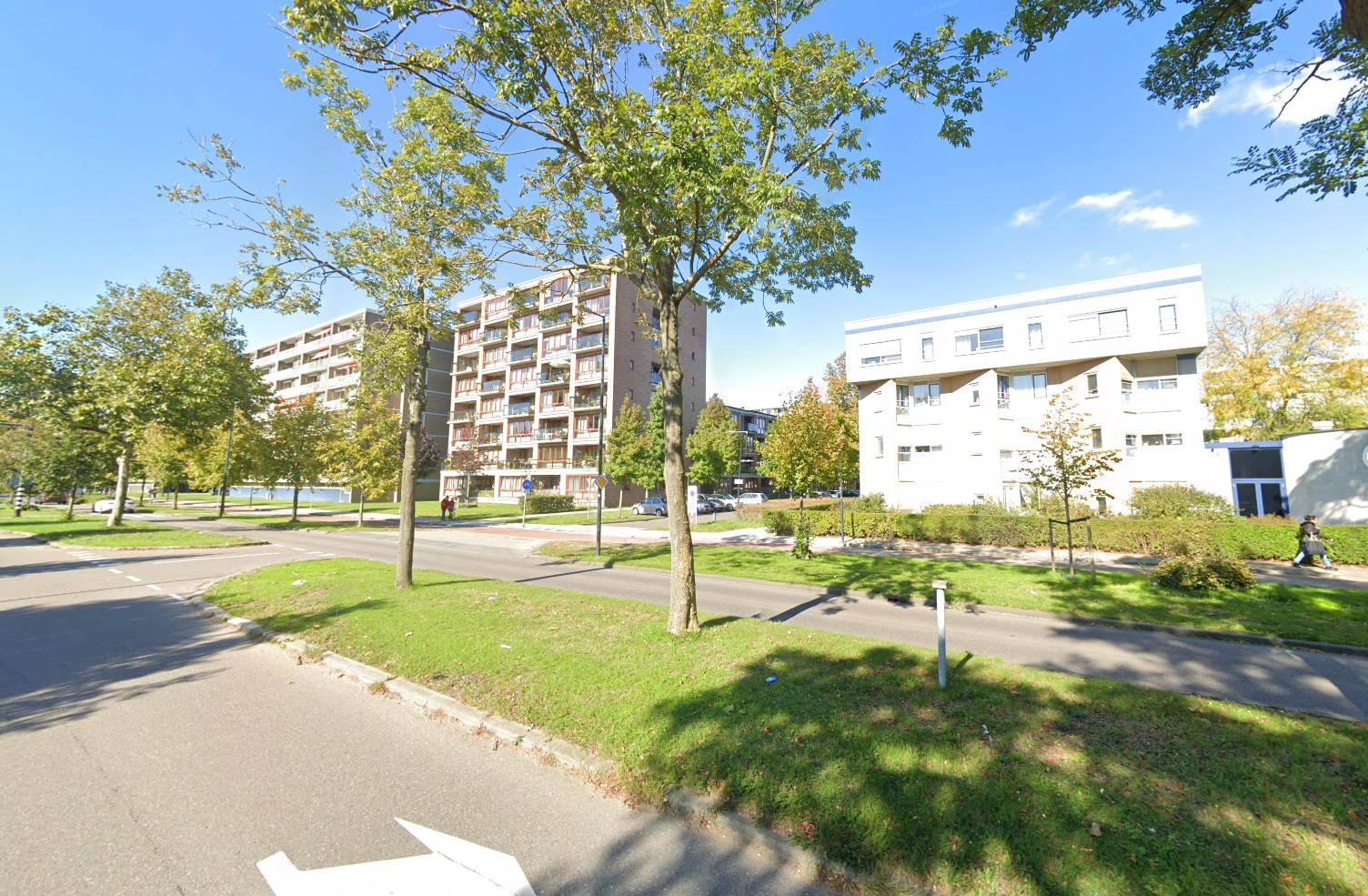 Straatbeeld Groenoord 3