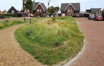 kmaatregel_afstroom_wadi.jpg kmaatregel_afstroom_wadi.jpg