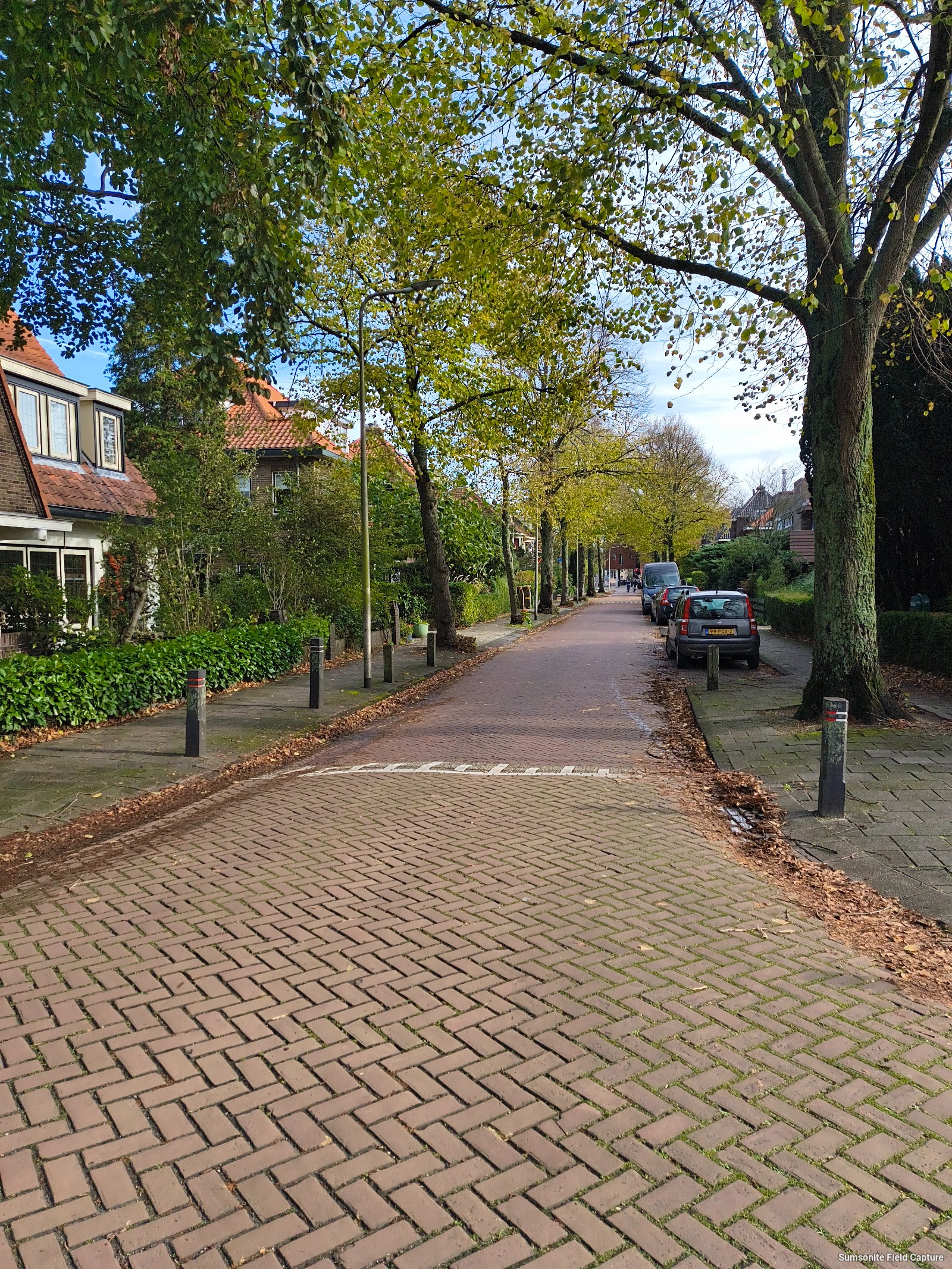 architectenbuurt_heemstede_straat1.jpg